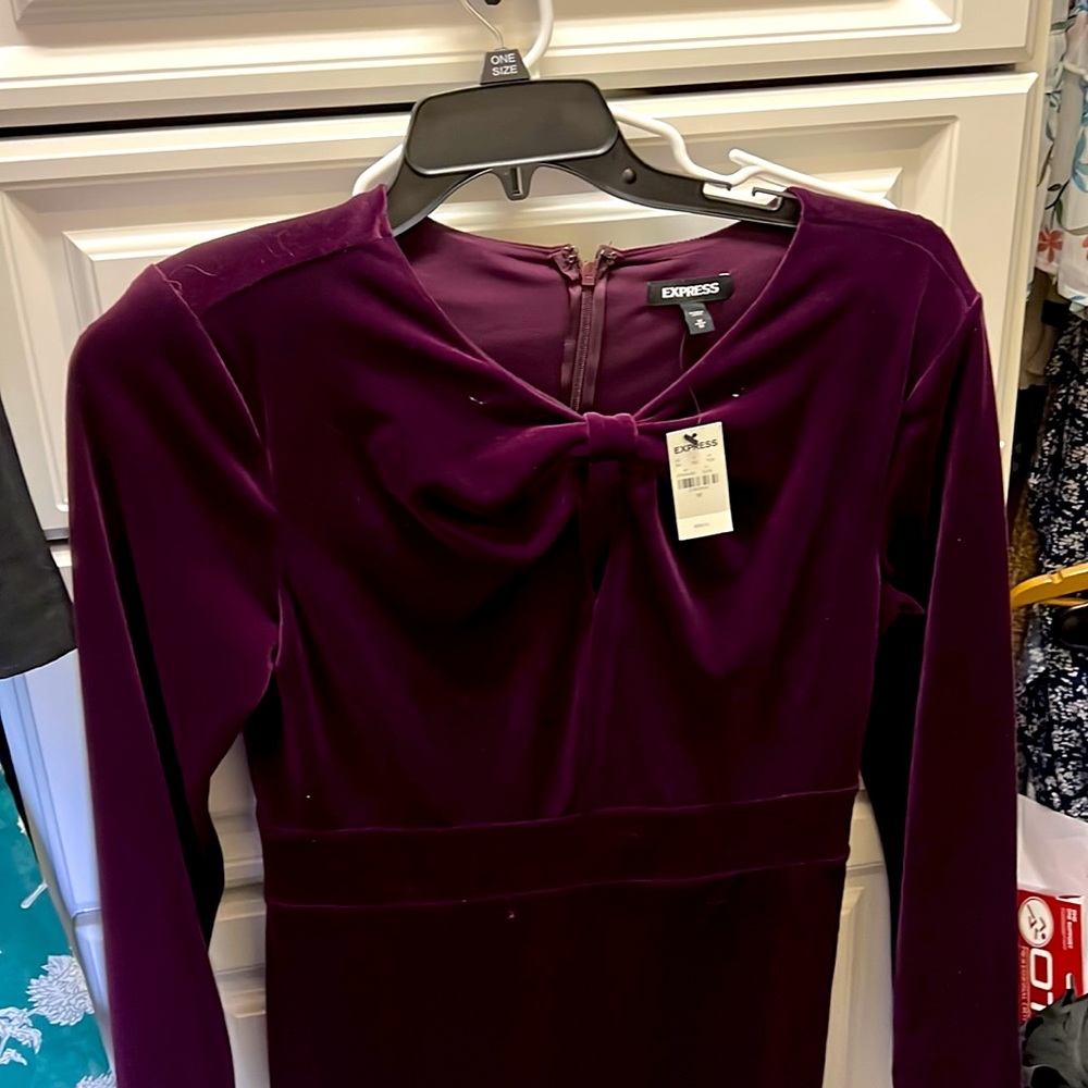 Deep burgundy velvet dress